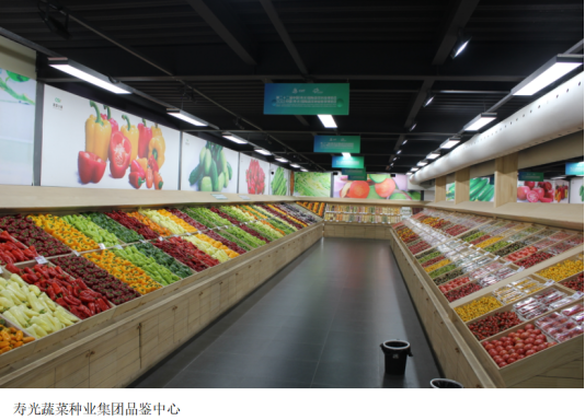 寿光国际蔬菜种业博览会即将开幕：“线上＋线下”展示4000多个新品种