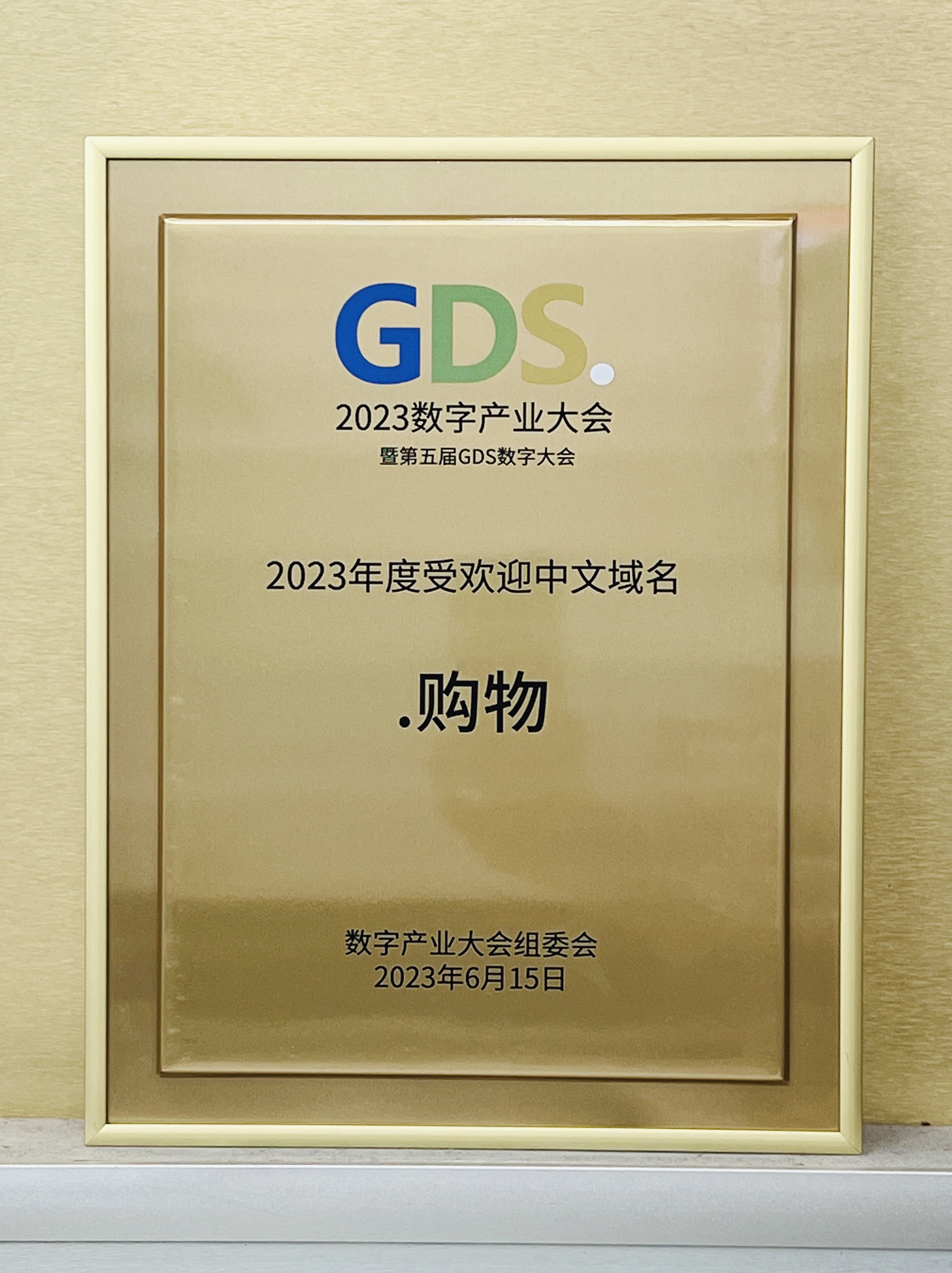 购物2023GDS受欢迎中文域名奖