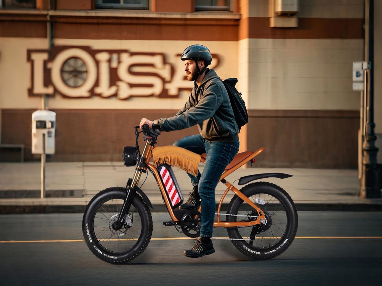 West Life Electric Bike 1