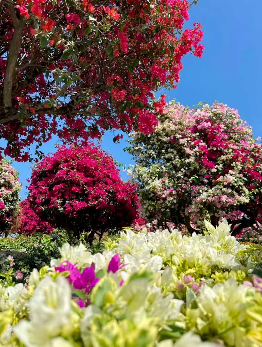 7a7b4f664d0cbef895e301d6365fb8b1