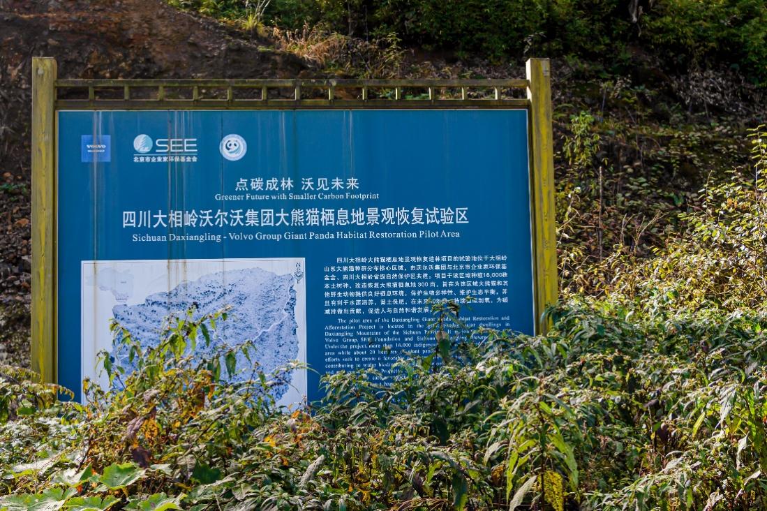 A sign in the woods
AI-generated content may be incorrect.