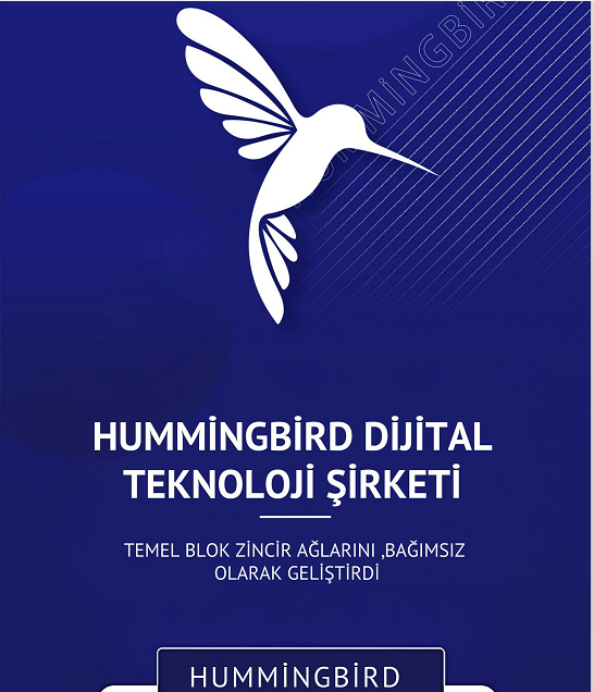 Hummingbird Borsa