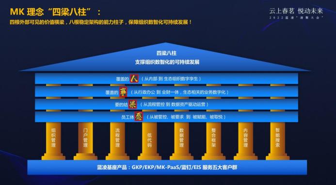 蓝凌杨健伟:以客户经营为中心,用数智化“四梁八柱”赋能未来