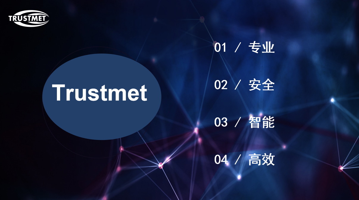 Trustmet 中文 02