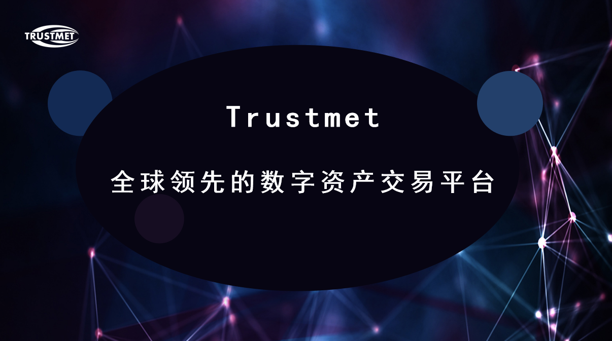 Trustmet 中文 01