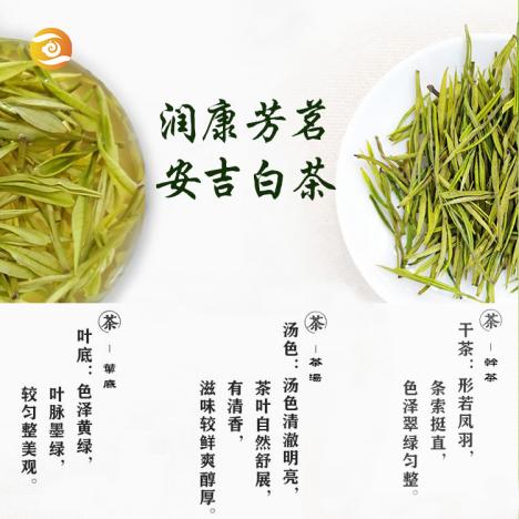 茶连盟盘点丨绿茶品牌大对比,哪个才是你心仪的品牌