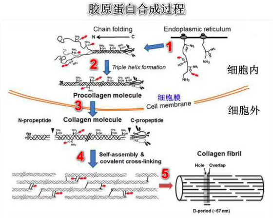 图示 描述已自动生成